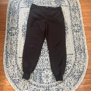 Express Jogger Dress Pants
